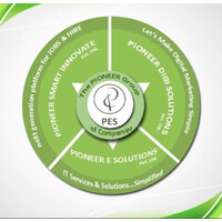 Pioneer E Solutions Pvt. Ltd. Company logo